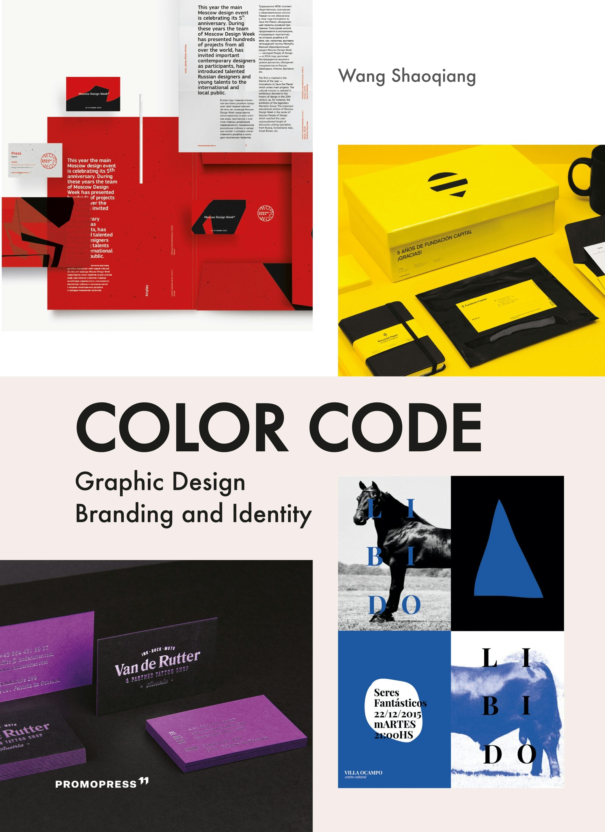 Book cover image for Color Code: Graphic Design, Branding and Identity ISBN: 9788417412302